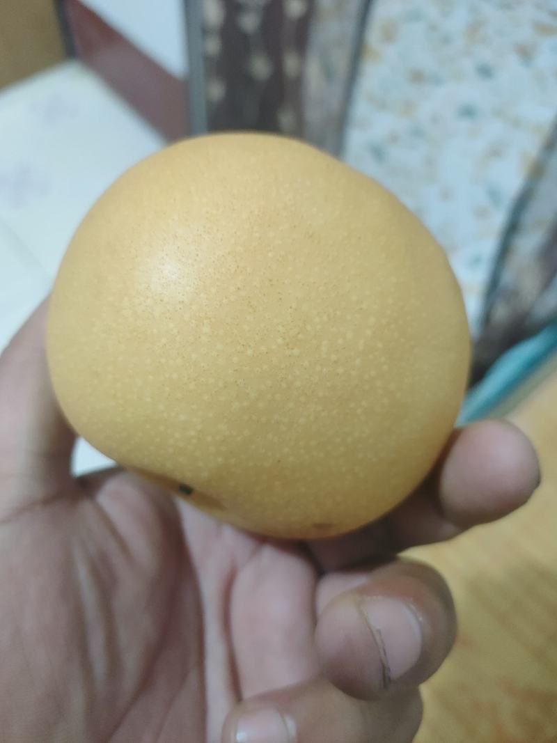 秋月梨商场超市电商货均有，大中小个头均有，