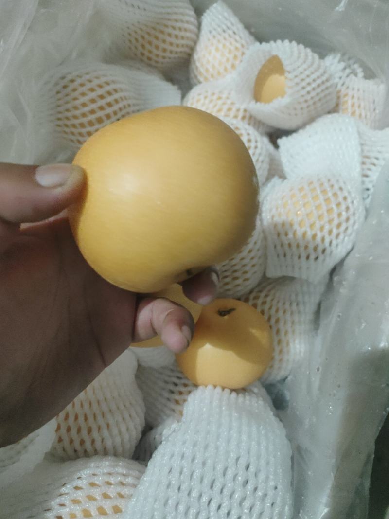 秋月梨商场超市电商货均有，大中小个头均有，