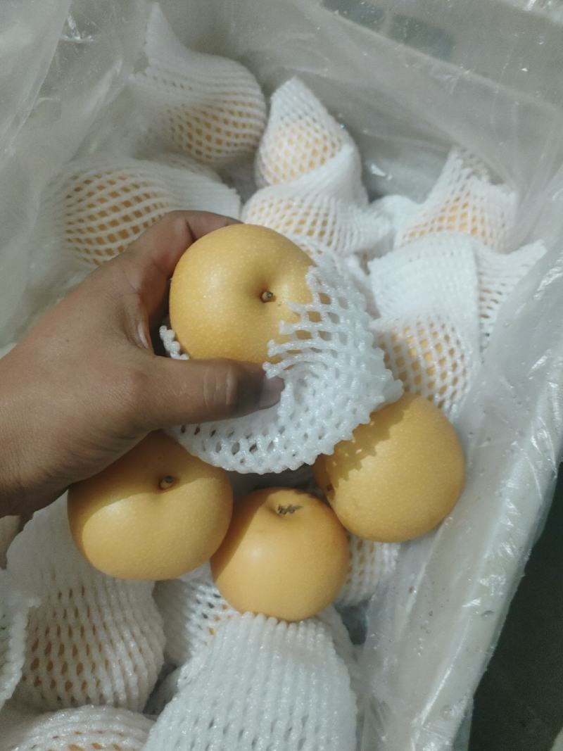 秋月梨商场超市电商货均有，大中小个头均有，
