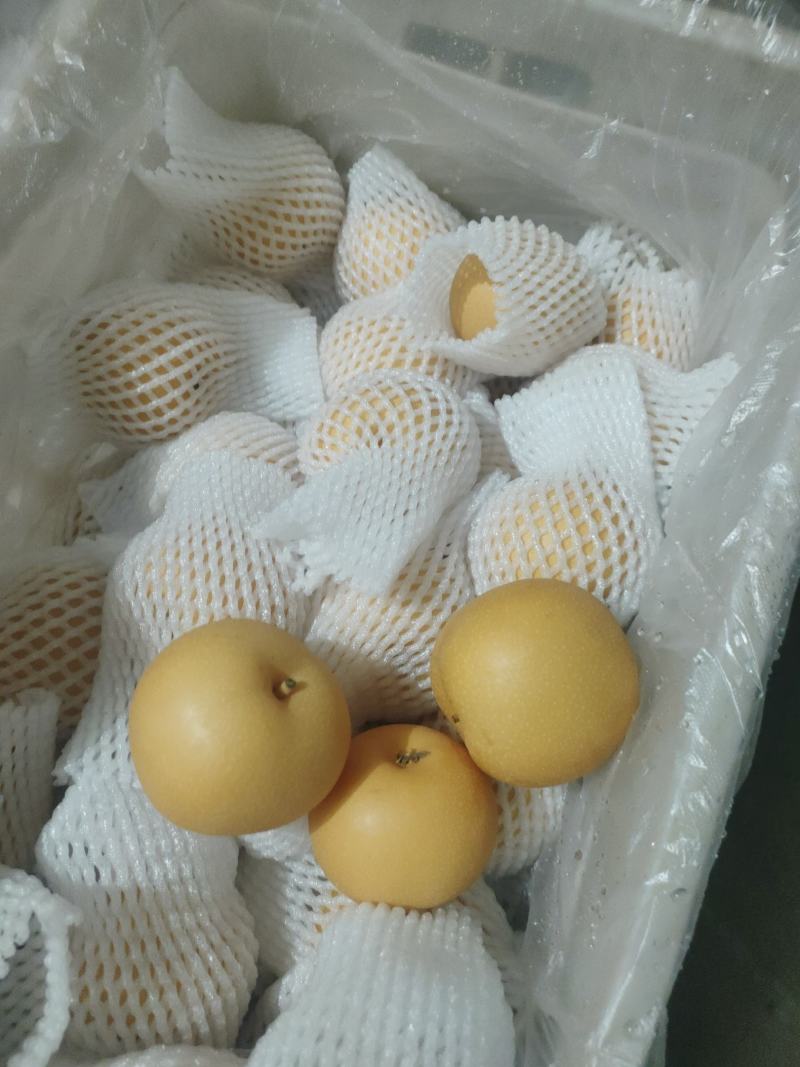 秋月梨商场超市电商货均有，大中小个头均有，