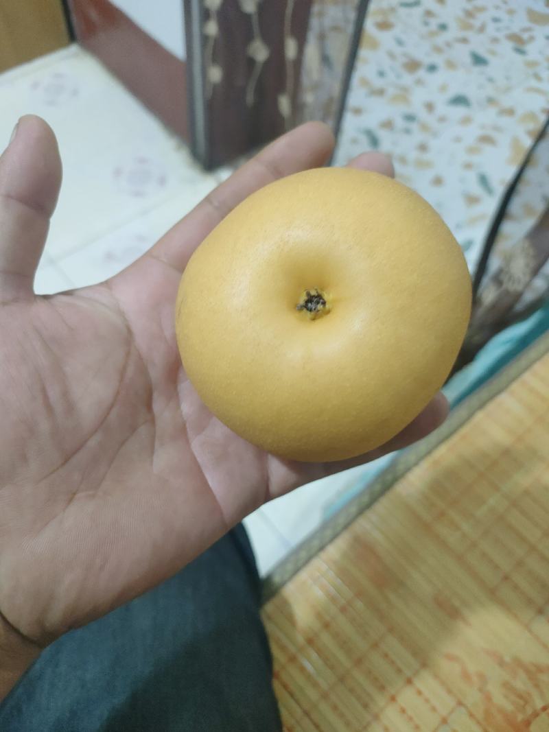 秋月梨商场超市电商货均有，大中小个头均有，