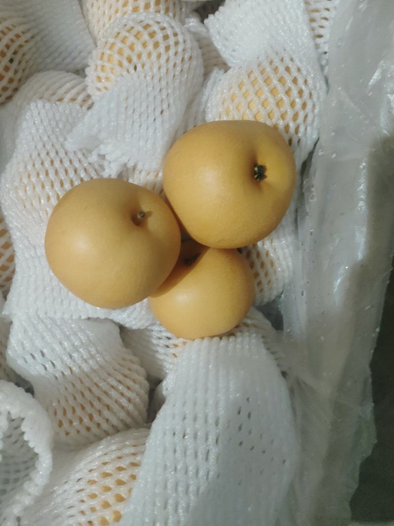 秋月梨商场超市电商货均有，大中小个头均有，
