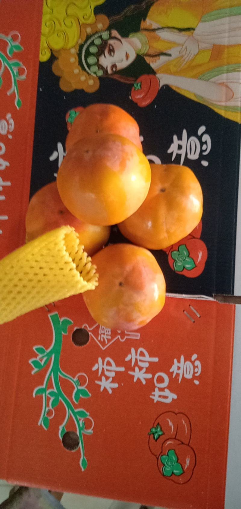 临猗角杯阳丰甜脆柿