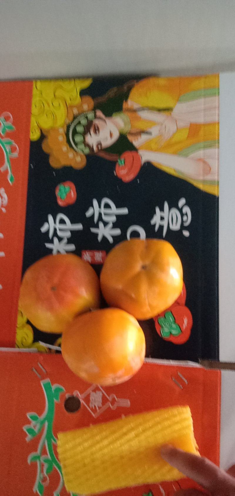 临猗角杯阳丰甜脆柿