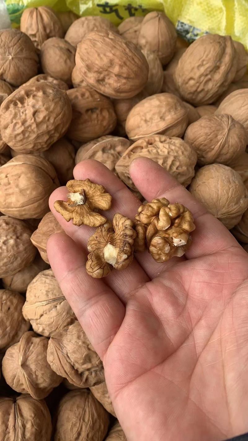 新疆薄壳核桃干核桃坚果价格美丽地摊展会批发一手货源