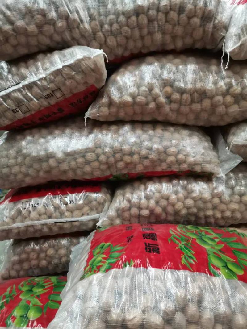新疆薄壳核桃干核桃坚果价格美丽地摊展会批发一手货源
