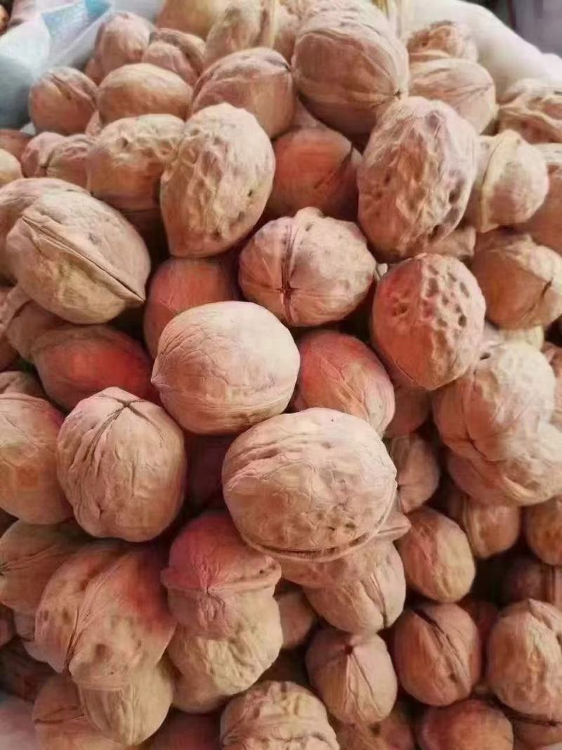 新疆薄壳核桃干核桃坚果价格美丽地摊展会批发一手货源