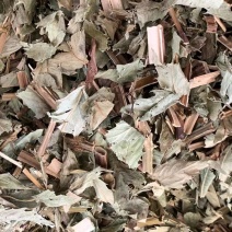 泽兰【包邮】三斤起发货可批量可零售量大从优