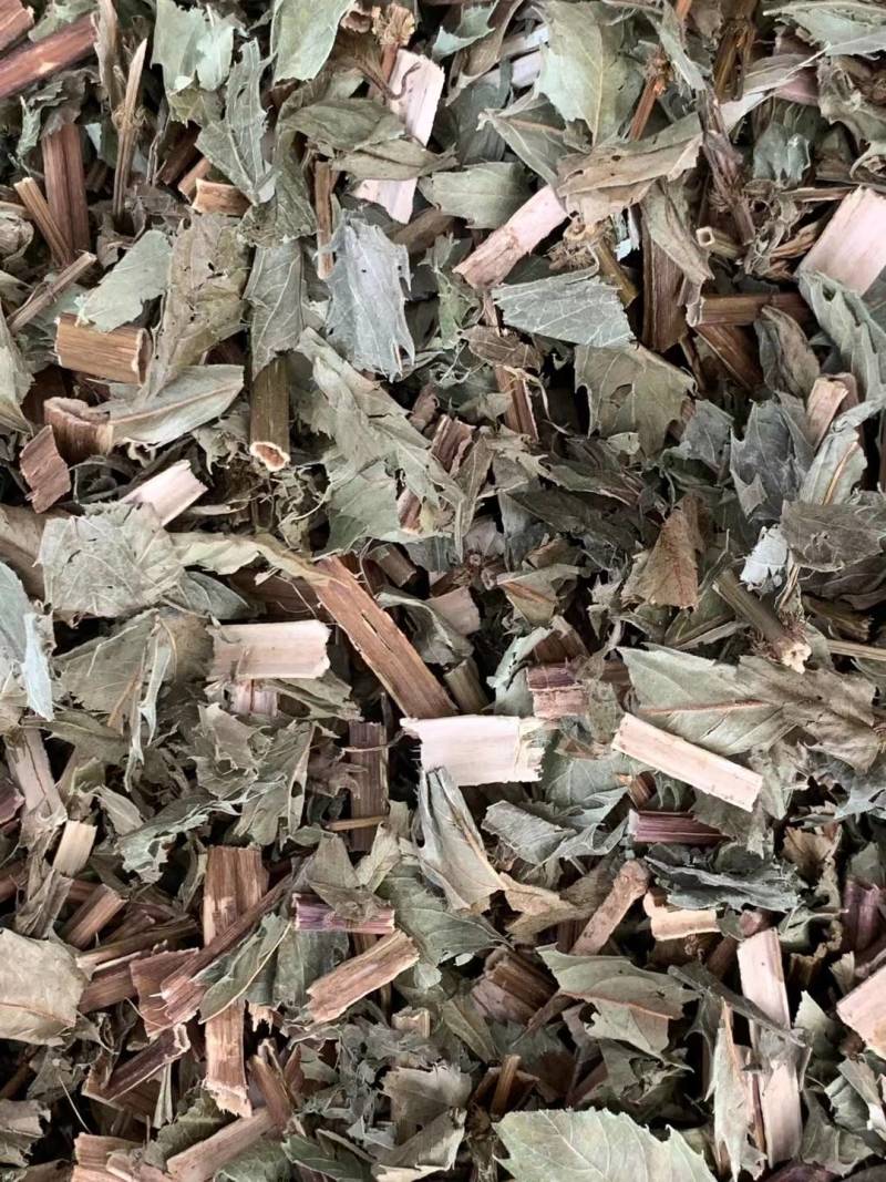泽兰【包邮】三斤起发货可批量可零售量大从优