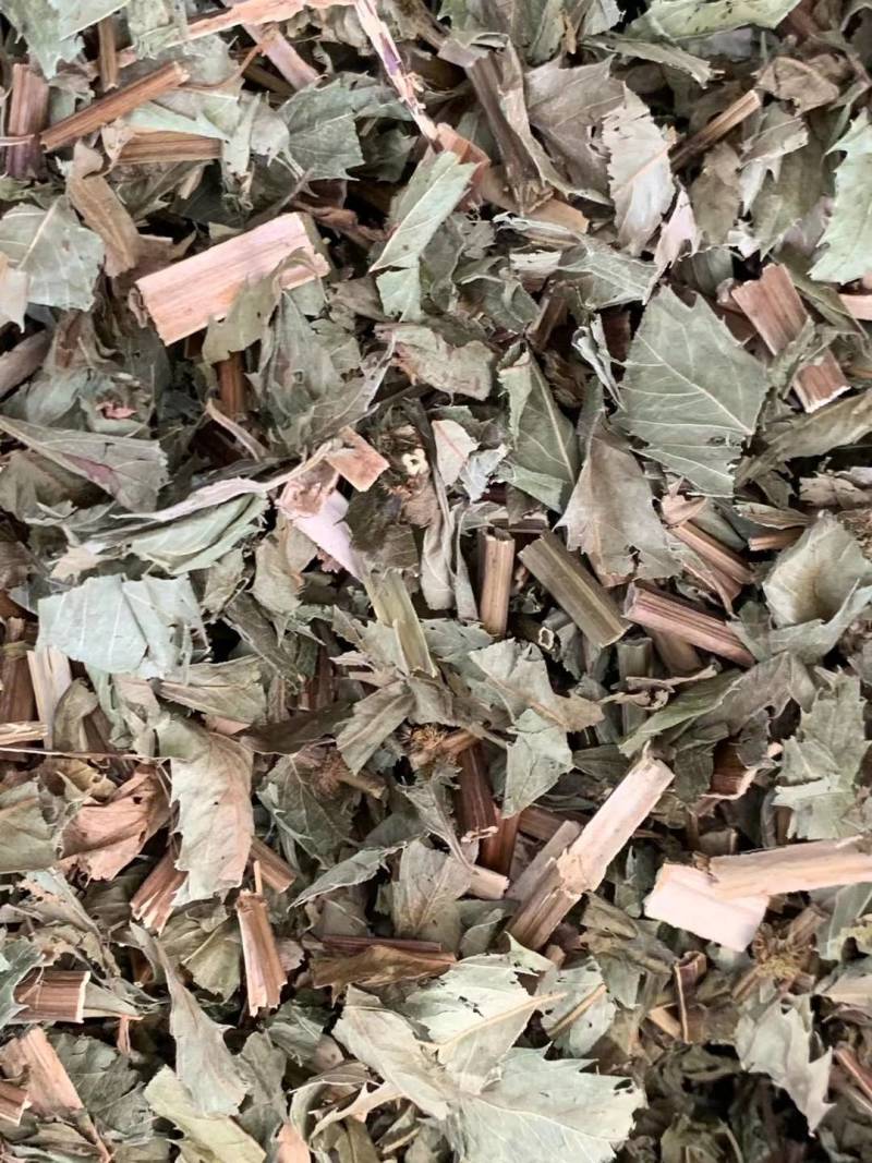 泽兰【包邮】三斤起发货可批量可零售量大从优