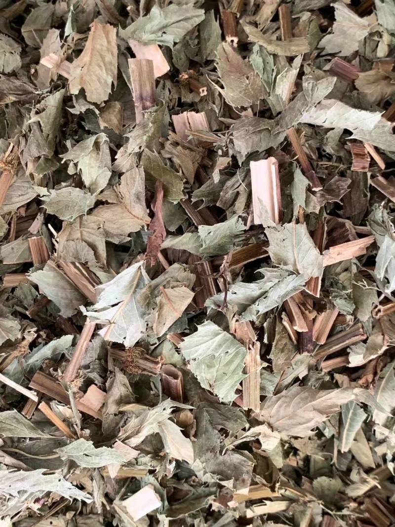 泽兰【包邮】三斤起发货可批量可零售量大从优