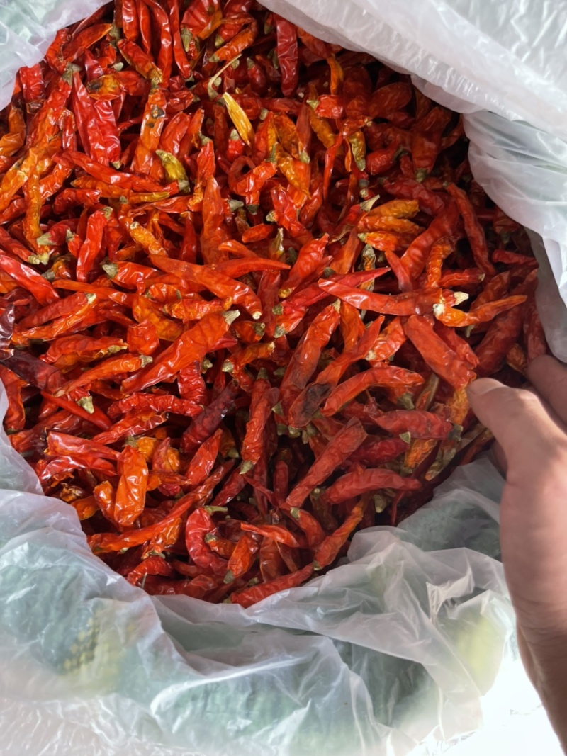 云南艳红干辣椒
