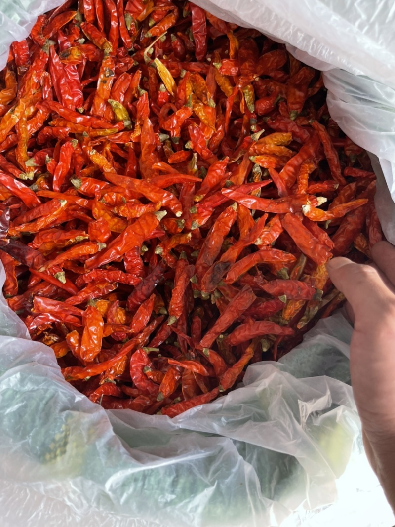 云南艳红干辣椒
