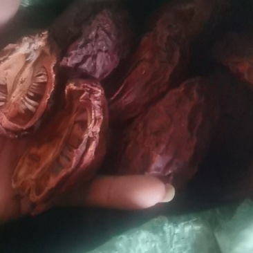 干木瓜，药用木瓜，红花木瓜，木瓜干货，