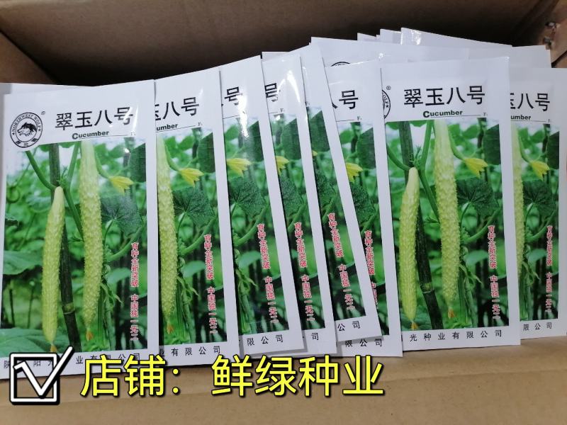 翠玉八号黄瓜刺瘤较密瓜条顺直瓜把短绿色食品甘甜醇香