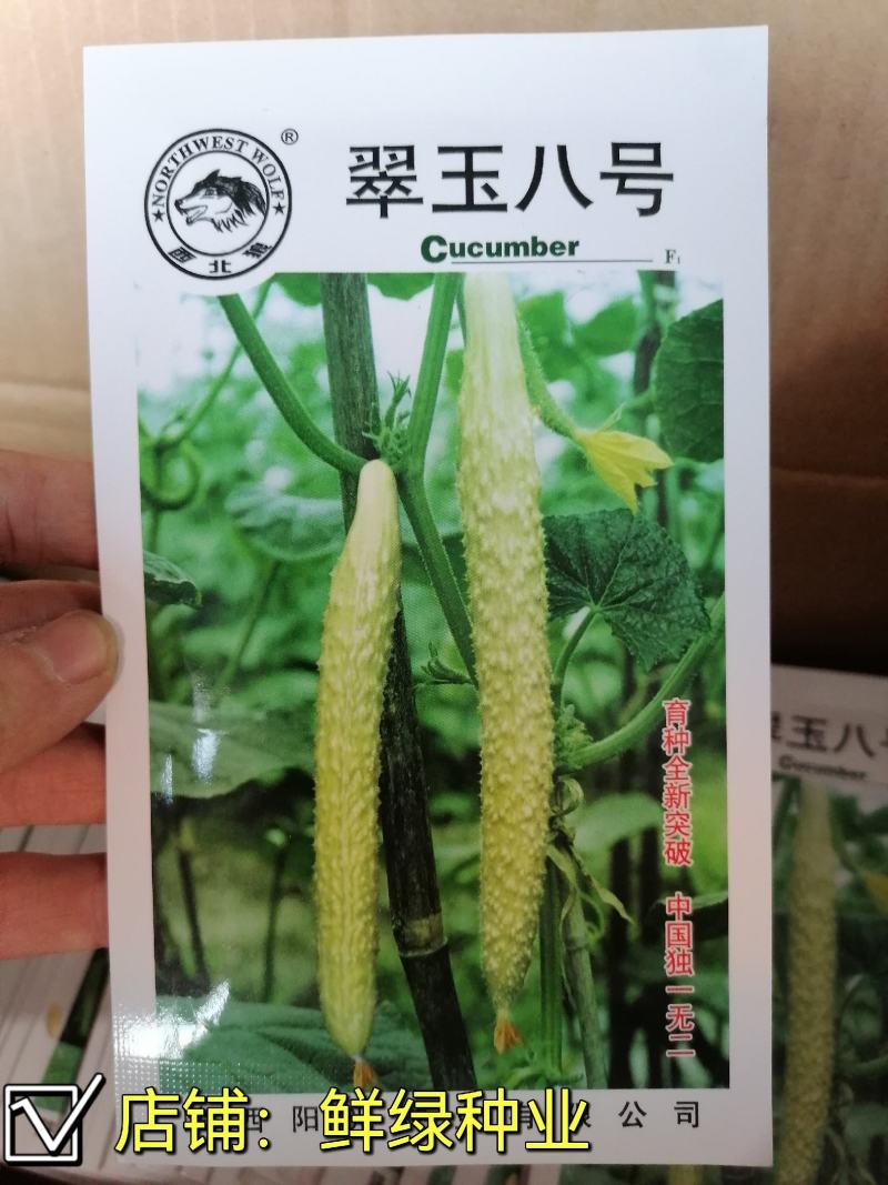 翠玉八号黄瓜刺瘤较密瓜条顺直瓜把短绿色食品甘甜醇香