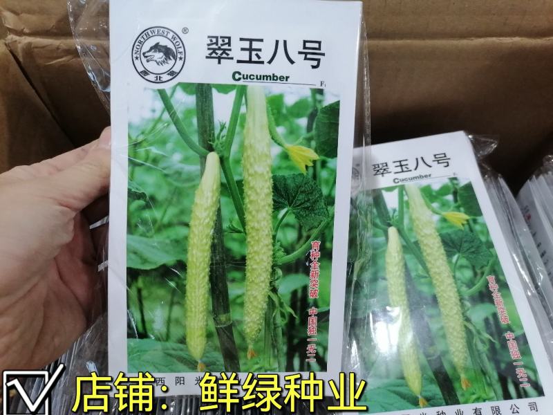 翠玉八号黄瓜刺瘤较密瓜条顺直瓜把短绿色食品甘甜醇香