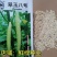 翠玉八号黄瓜刺瘤较密瓜条顺直瓜把短绿色食品甘甜醇香