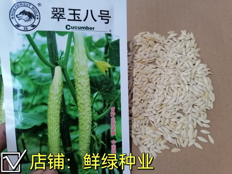 翠玉八号黄瓜刺瘤较密瓜条顺直瓜把短绿色食品甘甜醇香