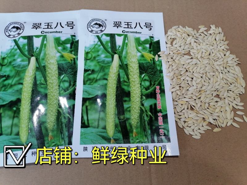 翠玉八号黄瓜刺瘤较密瓜条顺直瓜把短绿色食品甘甜醇香