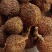 正宗阳春野生春砂仁干货干果批发产地直发挑选好香味浓郁