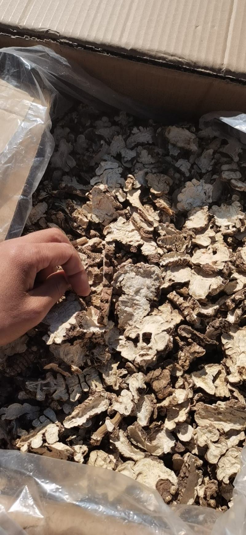 川芎片，出口片