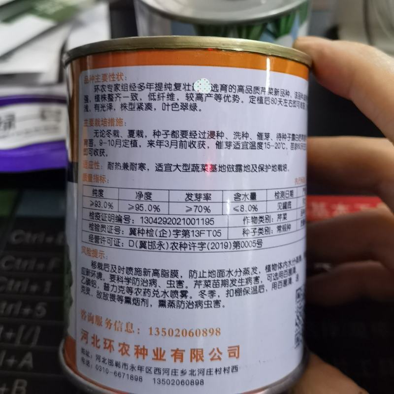 金丽莱皇后西芹种子芹菜种子高产抗病种植户大面积种植