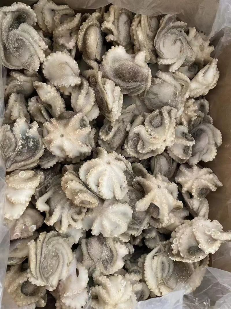 鲜活速冻迷你八爪鱼爆头长腿翻花小章鱼去牙去脏小八捞汁专用