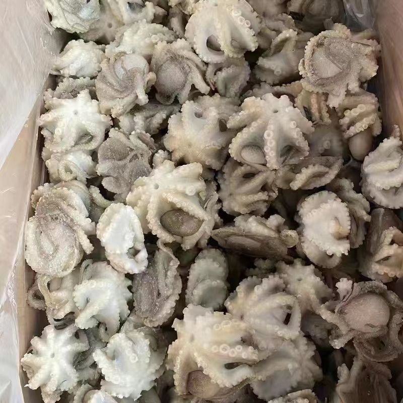 鲜活速冻迷你八爪鱼爆头长腿翻花小章鱼去牙去脏小八捞汁专用