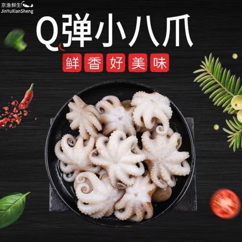 鲜活速冻迷你八爪鱼爆头长腿翻花小章鱼去牙去脏小八捞汁专用