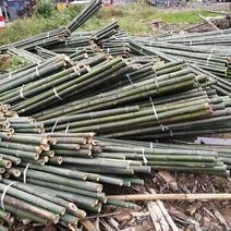 甘蔗防风竹竿，平棚竹竿，园林竹竿支撑杆，菜架竹