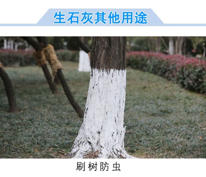 生石灰粉:生石灰粉块室内防潮防霉干燥剂养殖杀菌消毒除湿驱