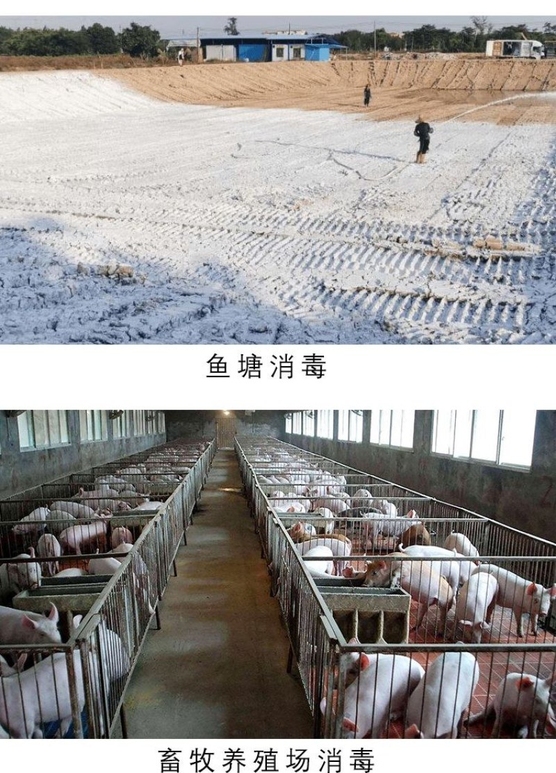 生石灰粉:生石灰粉块室内防潮防霉干燥剂养殖杀菌消毒除湿驱