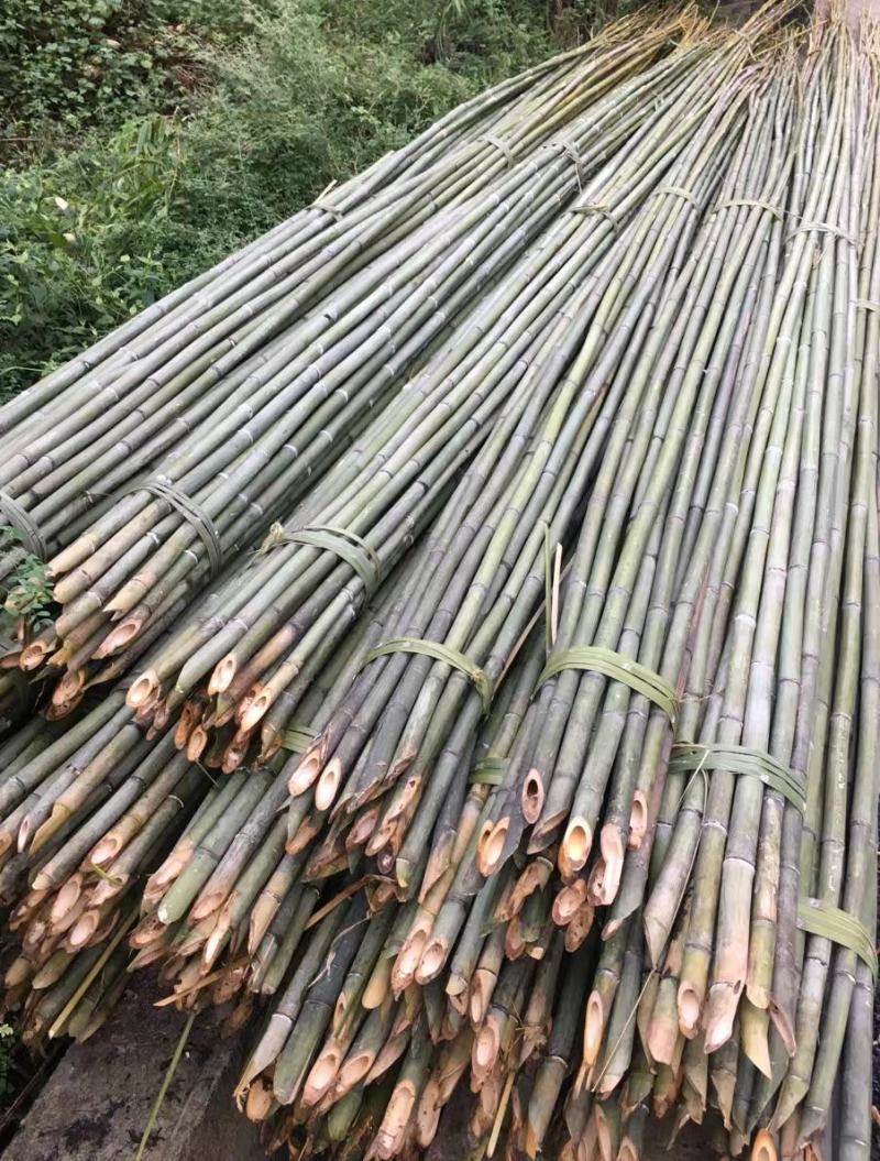 甘蔗防风竹竿，平棚竹竿，园林竹竿支撑杆，菜架竹