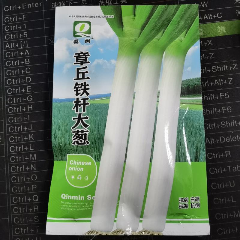 章丘铁杆大葱40克大葱种子耐热抗寒农家庭院种植蔬菜种子
