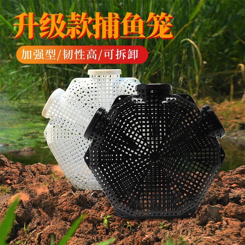 新款黄鳝笼专用鳝鱼笼子塑料虾笼自制倒须泥鳅笼抓鱼篓厂家直
