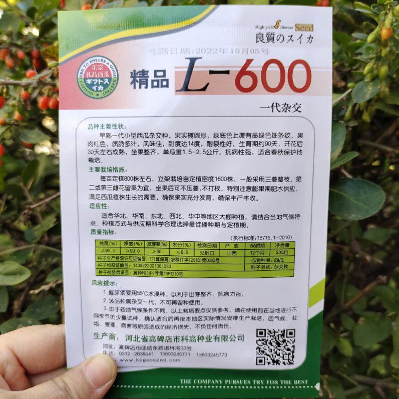 L600西瓜种子甜翠早熟小型西瓜种籽耐裂小果西瓜种子