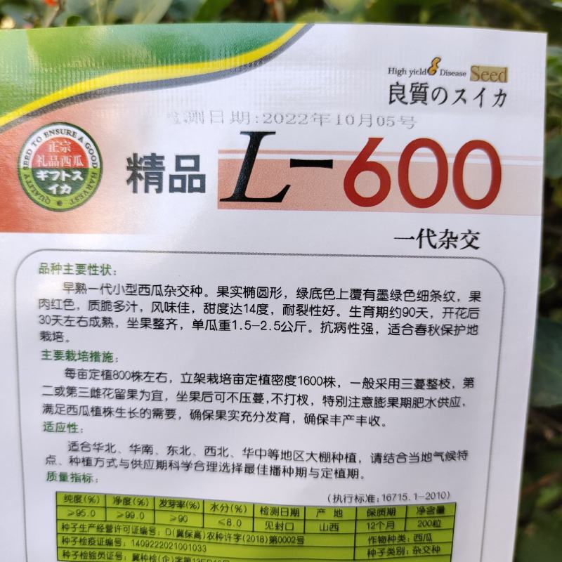 L600西瓜种子甜翠早熟小型西瓜种籽耐裂小果西瓜种子