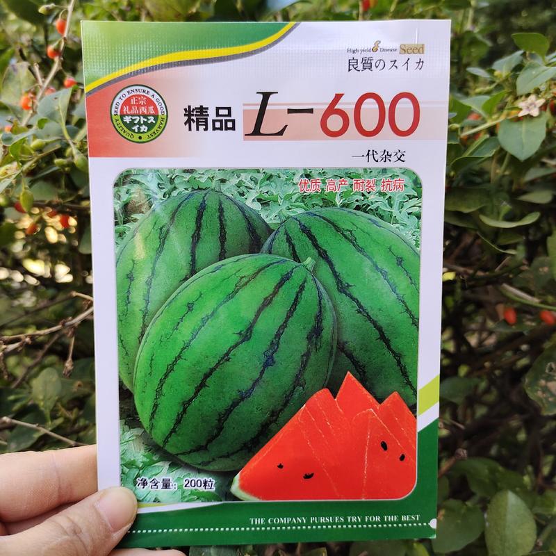 L600西瓜种子甜翠早熟小型西瓜种籽耐裂小果西瓜种子