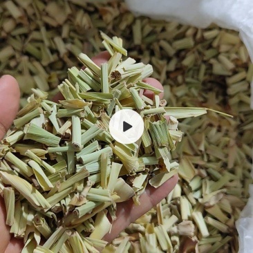 烘干香茅，香茅干茎，干香茅茎，自产自销，香味浓
