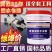 防水涂料房顶补漏裂缝平房漏水卫生间厕所屋顶补漏聚氨酯涂料