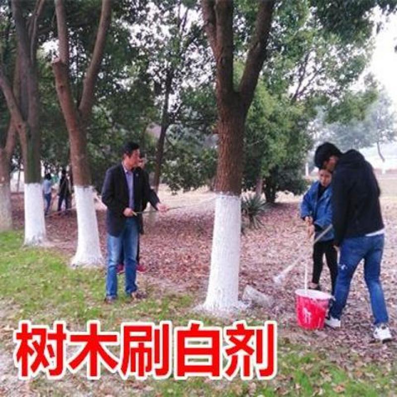 刷树粉果树刷白树木树干涂白剂涂白粉树木大树木涂白剂杀菌越