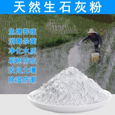 生石灰粉:生石灰粉块室内防潮防霉干燥剂养殖杀菌消毒除湿驱