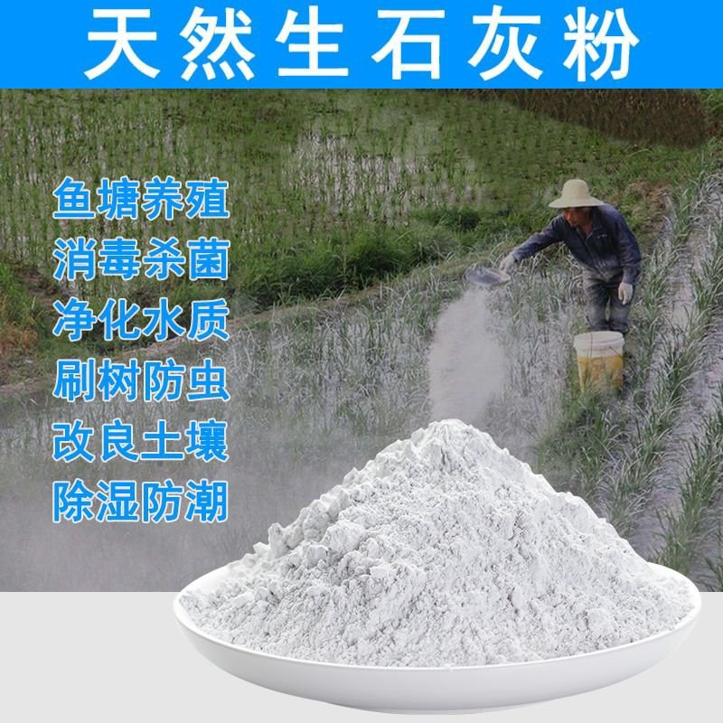 生石灰粉:生石灰粉块室内防潮防霉干燥剂养殖杀菌消毒除湿驱