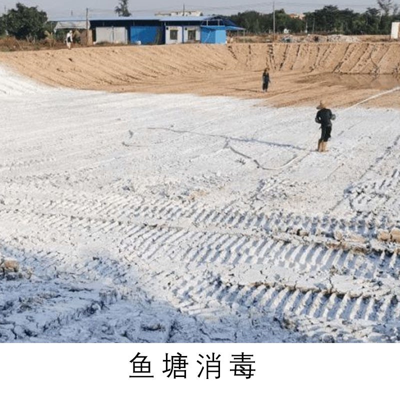 生石灰粉:生石灰粉块室内防潮防霉干燥剂养殖杀菌消毒除湿驱