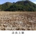生石灰粉:生石灰粉块室内防潮防霉干燥剂养殖杀菌消毒除湿驱