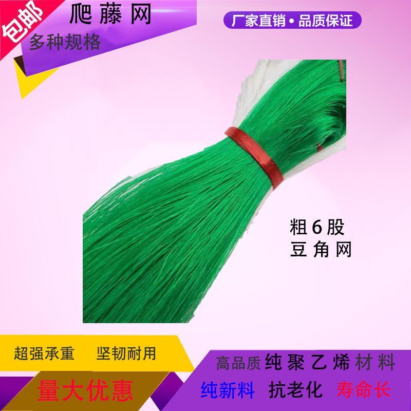 植物爬藤网（瓜果蔬菜）