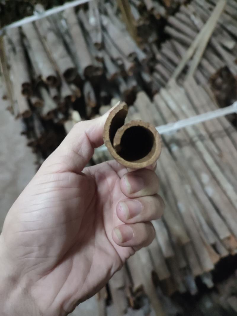桂碎，统筒，精筒足干，货存充足，当天发货