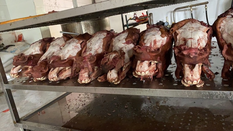 鲜美驴肉驴板肠