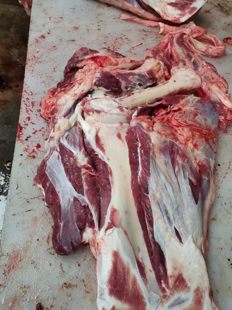 鲜美驴肉驴板肠